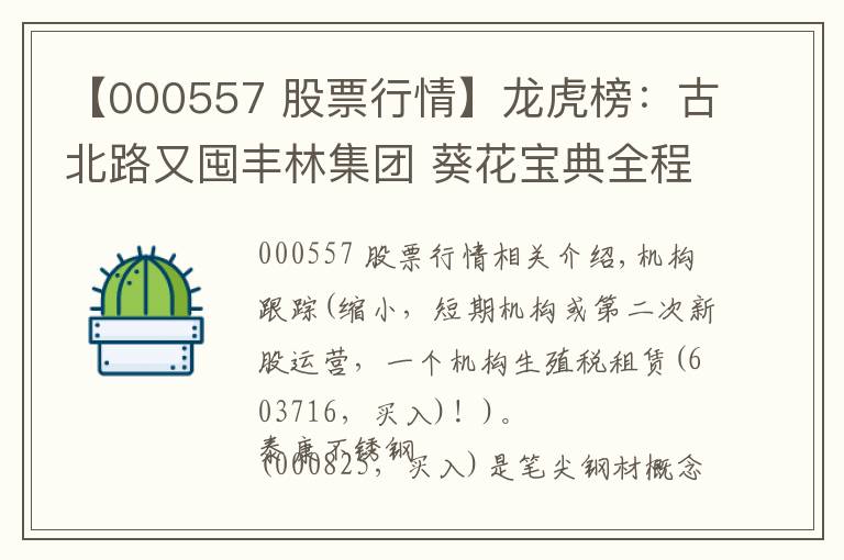 【000557 股票行情】龙虎榜：古北路又囤丰林集团 葵花宝典全程拉西部创业