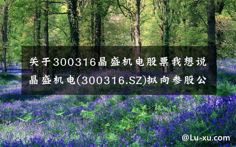 关于300316晶盛机电股票我想说晶盛机电(300316.SZ)拟向参股公司中环领先增资1.3亿元 推动大硅片项目发展