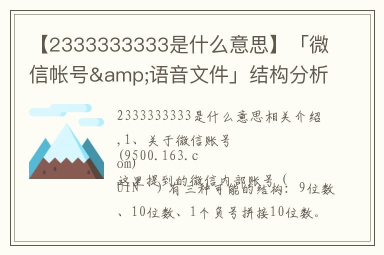 【2333333333是什么意思】「微信帐号&语音文件」结构分析