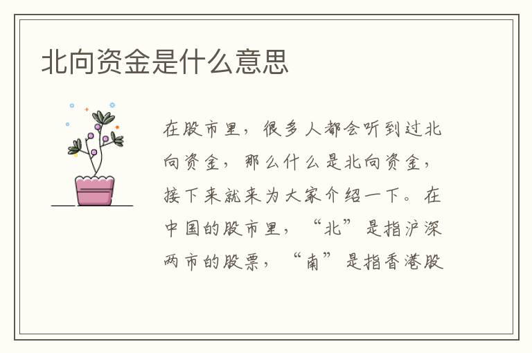 北向资金是什么意思