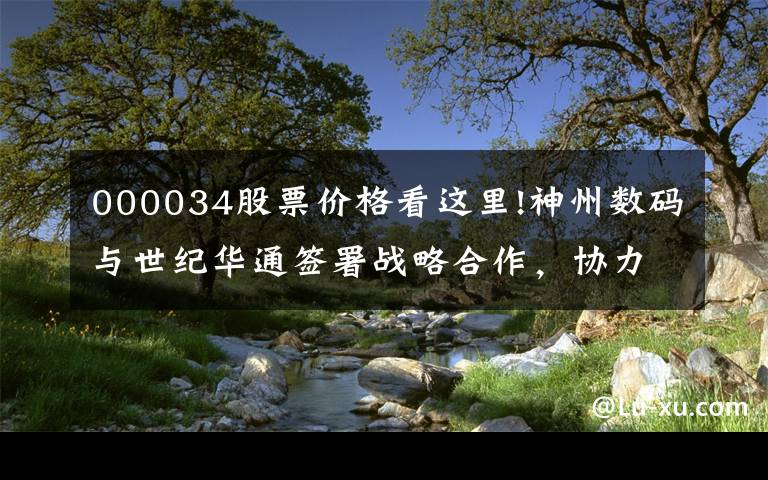 000034股票价格看这里!神州数码与世纪华通签署战略合作,协力构筑新基建算力底座