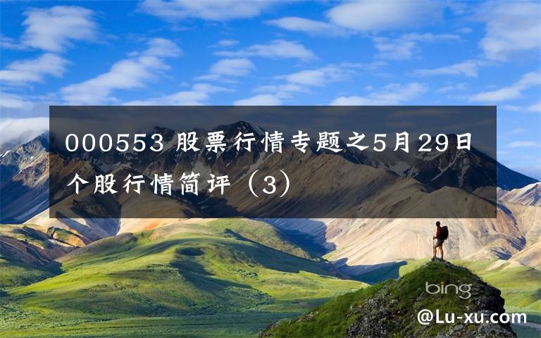 000553 股票行情专题之5月29日个股行情简评（3）