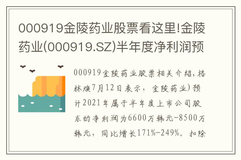 000919金陵药业股票看这里!金陵药业(000919.SZ)半年度净利润预增171%-249%