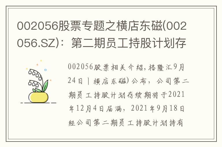 002056股票专题之横店东磁(002056.SZ):第二期员工持股计划存续期延长至2024年12月31日