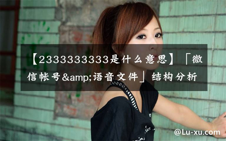 【2333333333是什么意思】「微信帐号&语音文件」结构分析