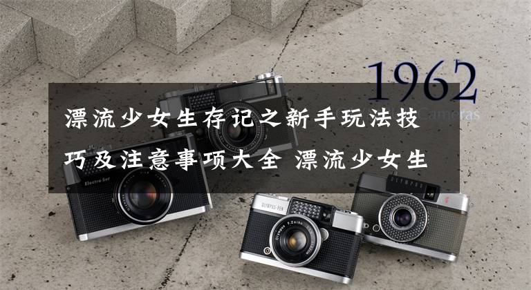 漂流少女生存记之新手玩法技巧及注意事项大全 漂流少女生存记怎么改中文版