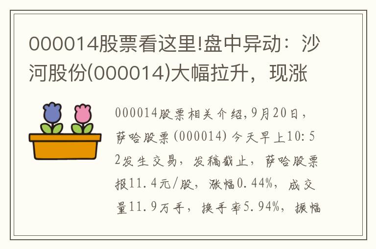000014股票看这里!盘中异动：沙河股份(000014)大幅拉升，现涨0.44%