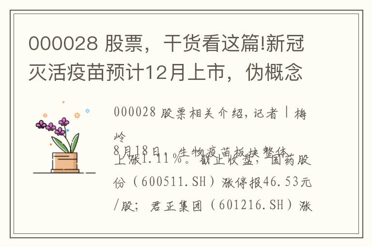 000028 股票,干货看这篇!新冠灭活疫苗预计12月上市,伪概念股君正集团、国药股份封板