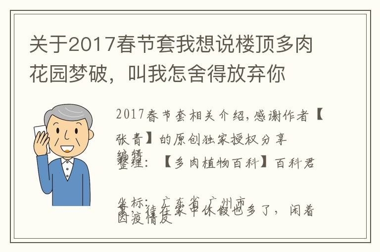 关于2017春节套我想说楼顶多肉花园梦破,叫我怎舍得放弃你