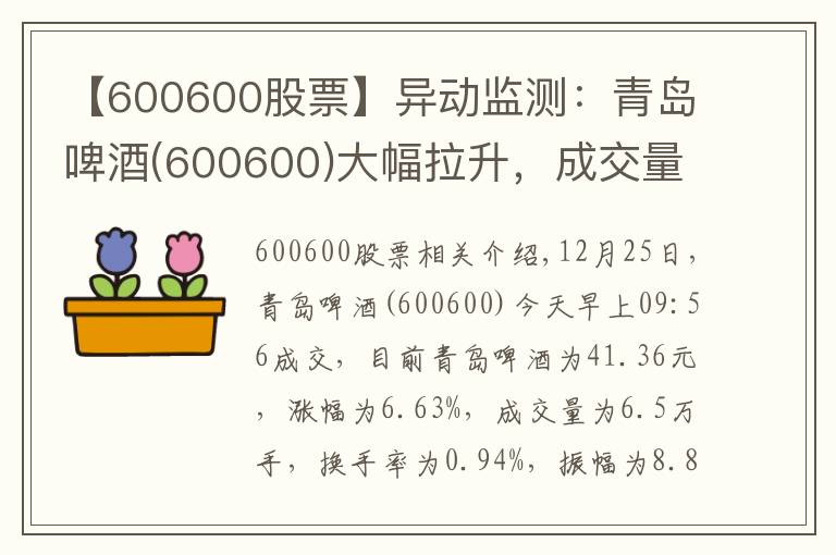 【600600股票】异动监测:青岛啤酒(600600)大幅拉升,成交量放大