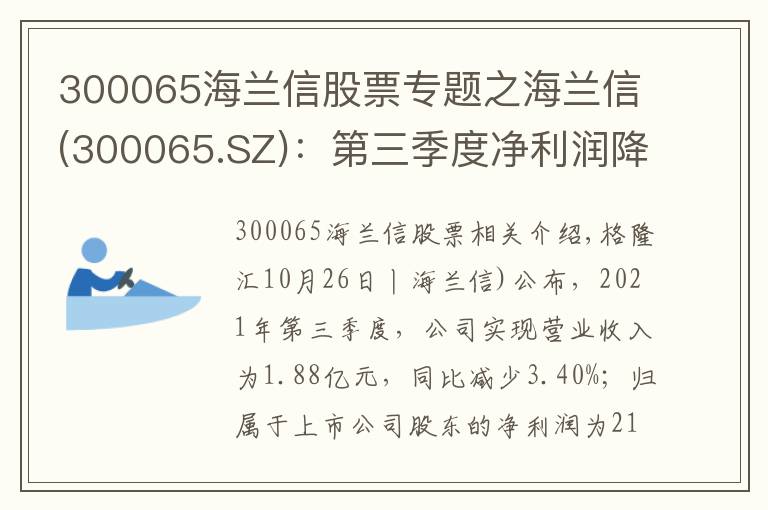 300065海兰信股票专题之海兰信(300065.SZ):第三季度净利润降93.53%至213.9万元