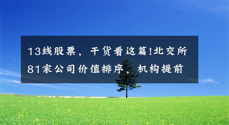 13线股票,干货看这篇!北交所81家公司价值排序,机构提前布局这36家(附股)