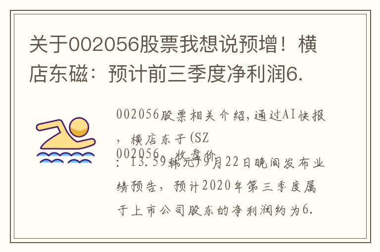 关于002056股票我想说预增!横店东磁:预计前三季度净利润6.19亿~6.72亿元,同比增长24%~35%