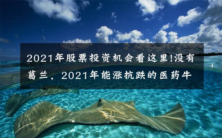 2021年股票投资机会看这里!没有葛兰,2021年能涨抗跌的医药牛基全在这里