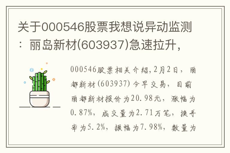 关于000546股票我想说异动监测：丽岛新材(603937)急速拉升，暂报20.98元