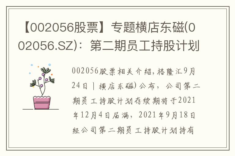 【002056股票】专题横店东磁(002056.SZ)：第二期员工持股计划存续期延长至2024年12月31日