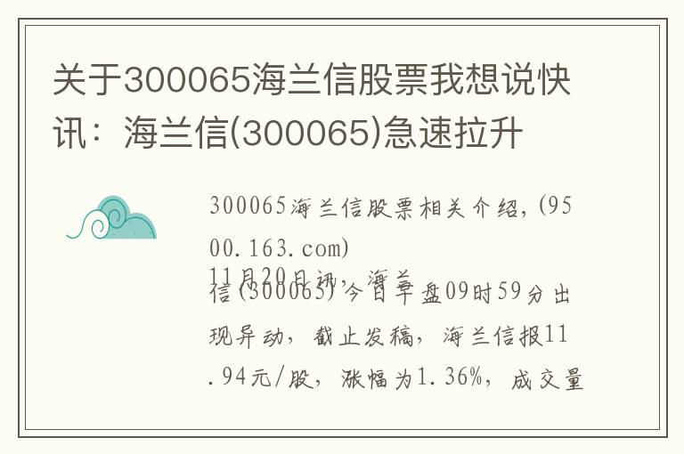 关于300065海兰信股票我想说快讯:海兰信(300065)急速拉升