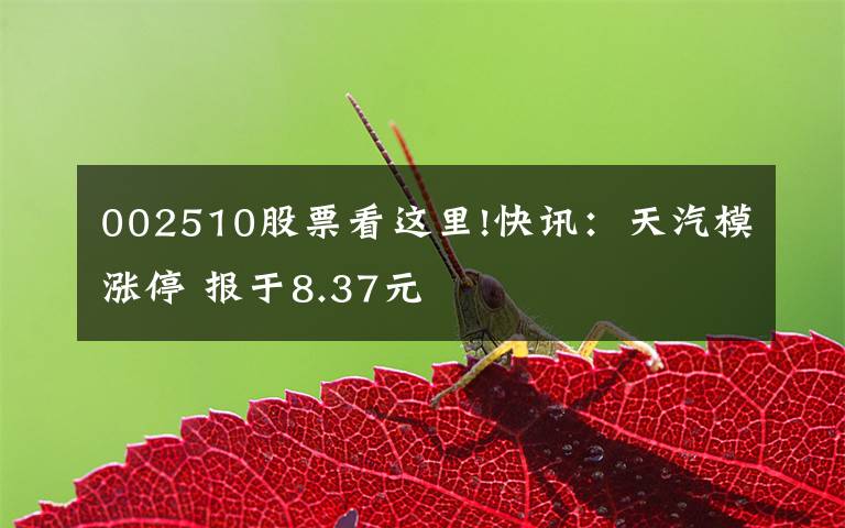 002510股票看这里!快讯：天汽模涨停 报于8.37元