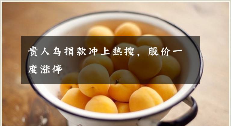 贵人鸟捐款冲上热搜,股价一度涨停