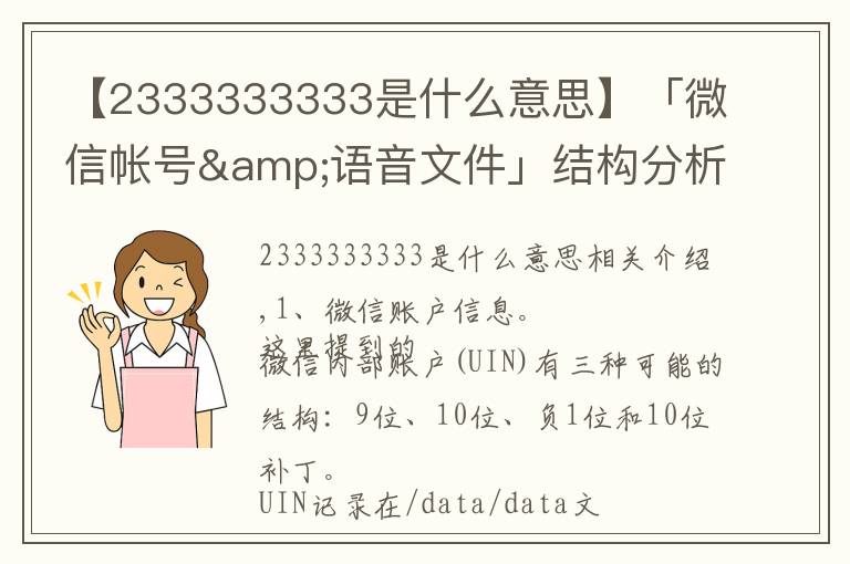 【2333333333是什么意思】「微信帐号&语音文件」结构分析
