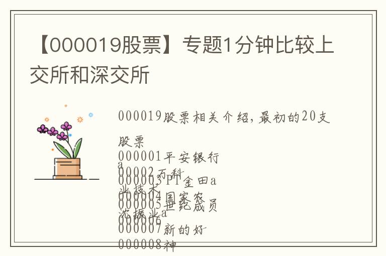 【000019股票】专题1分钟比较上交所和深交所