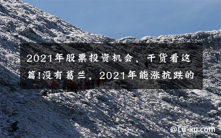 2021年股票投资机会,干货看这篇!没有葛兰,2021年能涨抗跌的医药牛基全在这里