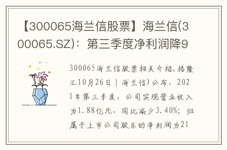 【300065海兰信股票】海兰信(300065.SZ):第三季度净利润降93.53%至213.9万元
