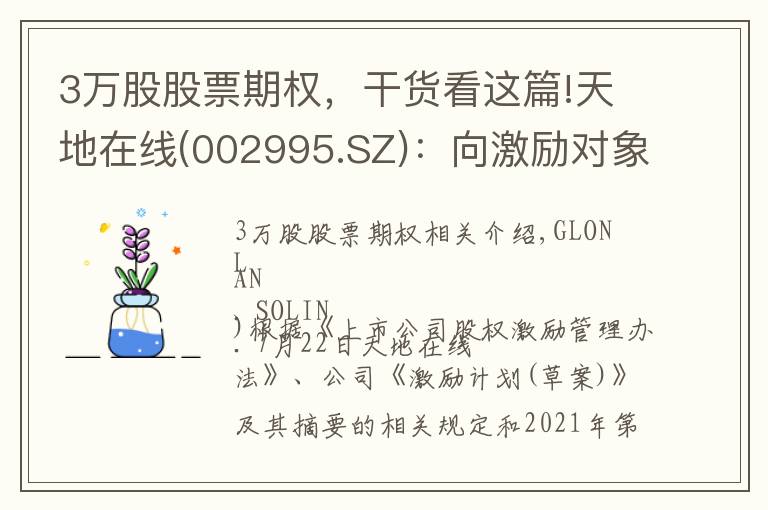 3万股股票期权,干货看这篇!天地在线(002995.SZ):向激励对象授予75.7万份股票期权、93.3万股限制性股票