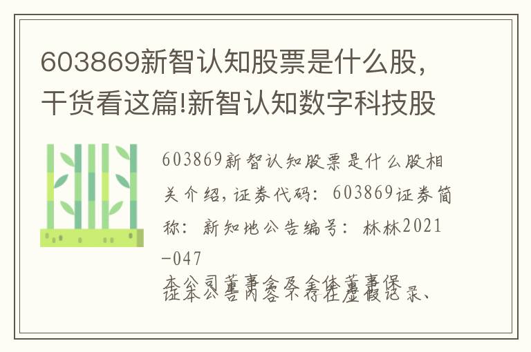 603869新智认知股票是什么股,干货看这篇!新智认知数字科技股份有限公司 关于控股股东的一致行动人增持公司股份完成的公告