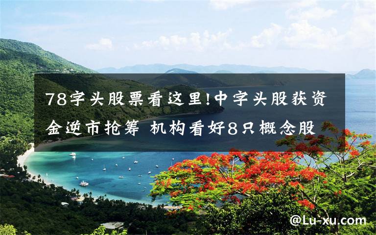 78字头股票看这里!中字头股获资金逆市抢筹 机构看好8只概念股投资潜力