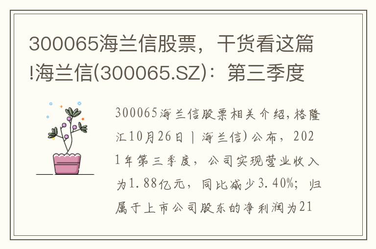 300065海兰信股票,干货看这篇!海兰信(300065.SZ):第三季度净利润降93.53%至213.9万元