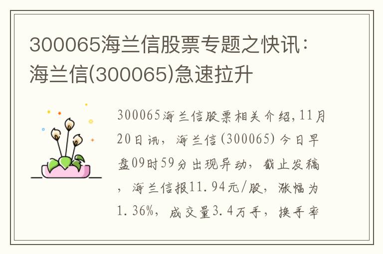 300065海兰信股票专题之快讯：海兰信(300065)急速拉升