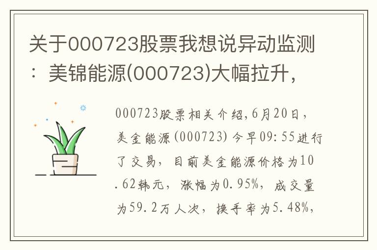 关于000723股票我想说异动监测：美锦能源(000723)大幅拉升，暂报10.62元