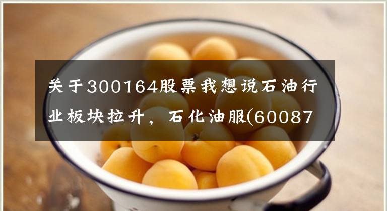 关于300164股票我想说石油行业板块拉升,石化油服(600871.CN)涨10.08%