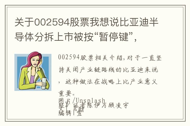 关于002594股票我想说比亚迪半导体分拆上市被按“暂停键”,市场争议百亿估值