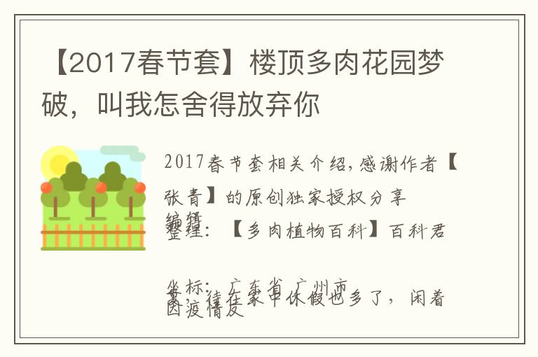 【2017春节套】楼顶多肉花园梦破,叫我怎舍得放弃你