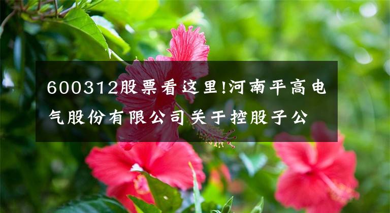 600312股票看这里!河南平高电气股份有限公司关于控股子公司更名的公告