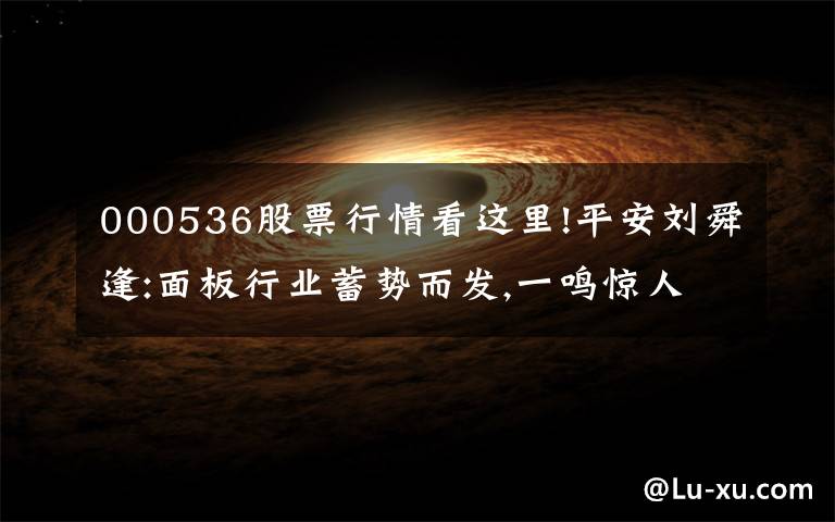 000536股票行情看这里!平安刘舜逢:面板行业蓄势而发,一鸣惊人