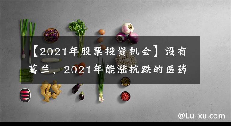 【2021年股票投资机会】没有葛兰，2021年能涨抗跌的医药牛基全在这里