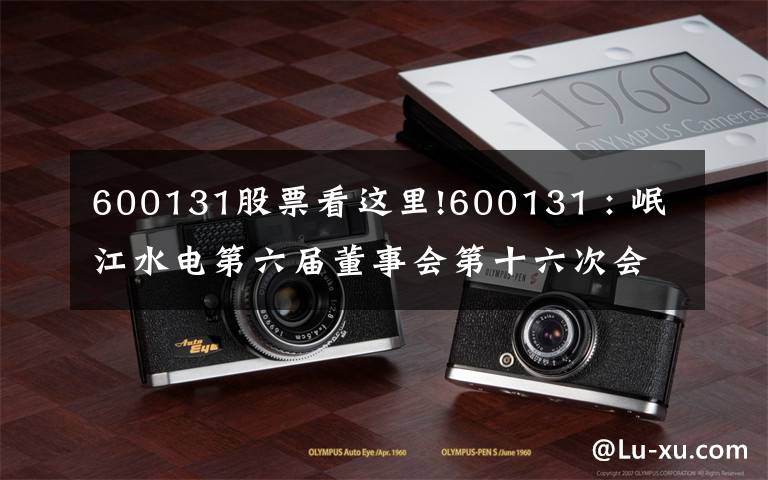 600131股票看这里!600131 : 岷江水电第六届董事会第十六次会议决议公告
