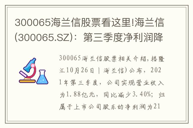 300065海兰信股票看这里!海兰信(300065.SZ):第三季度净利润降93.53%至213.9万元