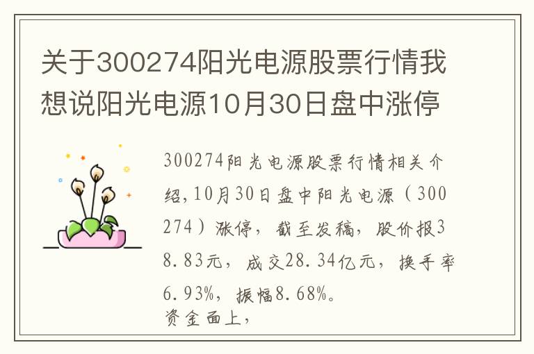 关于300274阳光电源股票行情我想说阳光电源10月30日盘中涨停