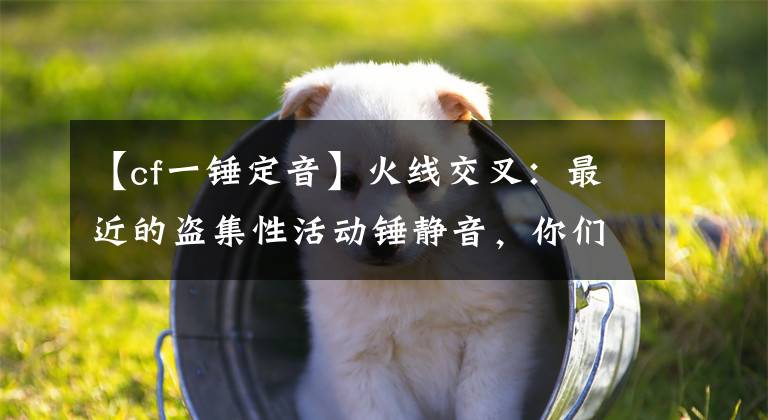 【cf一锤定音】火线交叉:最近的盗集性活动锤静音,你们得到了多少英雄级武器?