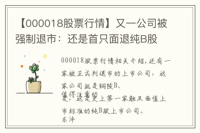 【000018股票行情】又一公司被强制退市：还是首只面退纯B股 数度自救未成