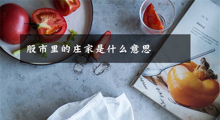 股市里的庄家是什么意思