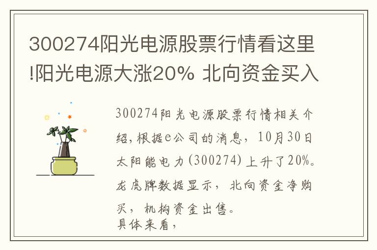 300274阳光电源股票行情看这里!阳光电源大涨20% 北向资金买入,机构资金卖出