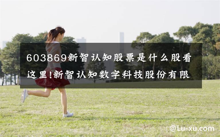 603869新智认知股票是什么股看这里!新智认知数字科技股份有限公司2018年年度报告摘要