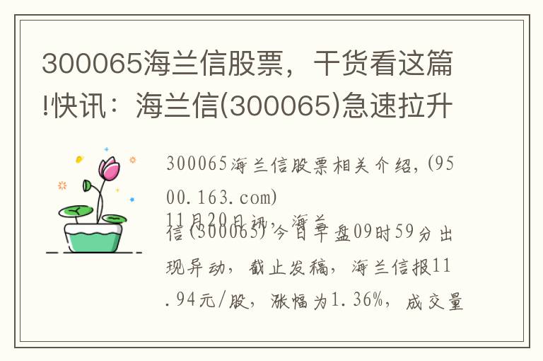 300065海兰信股票,干货看这篇!快讯:海兰信(300065)急速拉升