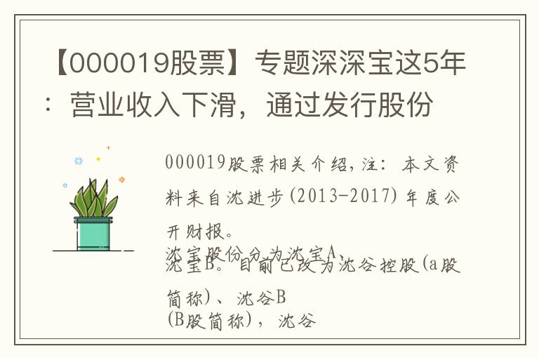 【000019股票】专题深深宝这5年:营业收入下滑,通过发行股份收购深粮,将走向哪?