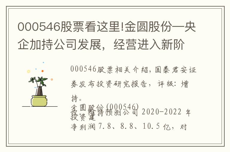 000546股票看这里!金圆股份—央企加持公司发展,经营进入新阶段